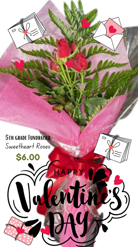 Starting today, 2/6/2023, you can order a sweetheart rose from Nanny’s 5th grade fundraiser! Presales will be all week for roses to be delivered on Valentine’s Day. Get your orders in, Seahawks!
